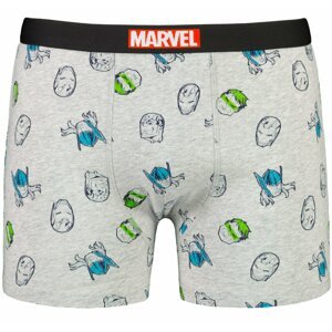 Men's boxer Marvel Avengers - Frogies