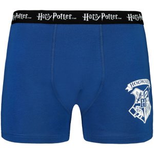 Men's boxer HARRY POTTER - Frogies