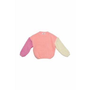 Trendyol Powder Color Block Girl Knitwear Sweater