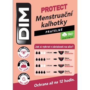 DIM MENSTRUAL LACE NIGHT SLIP - Menstrual panties with lace - black