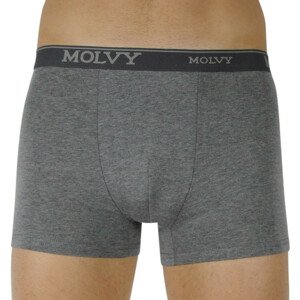 Men's boxer shorts Molvy gray