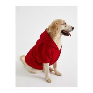 Koton Dog Sweatshirt