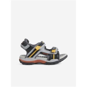 Black and gray boys' sandals Geox Borealis - Boys