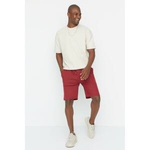 Trendyol Claret Red Men's Regular/Normal Fit Striped Shorts