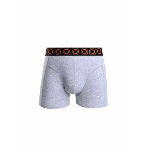 Boxers VUCH Elliot