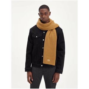 Khaki men's scarf Calvin Klein - Men's