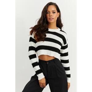 Cool & Sexy Women's Black and White Striped Short Sweater