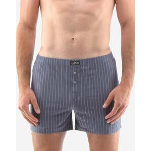 Men's shorts Gino gray