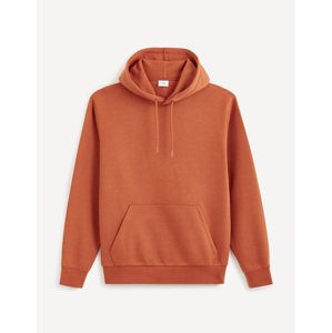 Celio Vesix Hoodie - Men