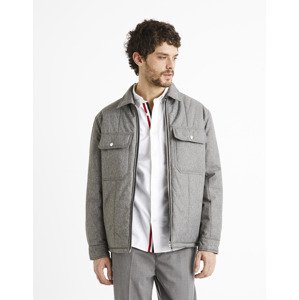 Celio Insulated Jacket Dustripes - Men