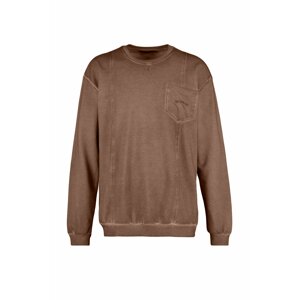 Trendyol Sweatshirt - Braun - Regular fit