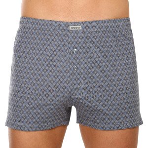 Men's shorts Andrie gray