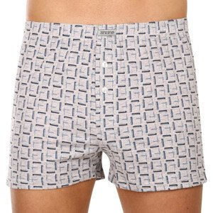 Men's shorts Andrie gray