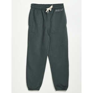 GAP Kids sweatpants cool - Boys