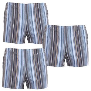 3PACK classic men's shorts Foltýn multicolored