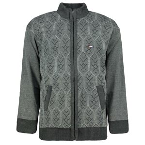 Men's sweater Aliatic Zip-Up