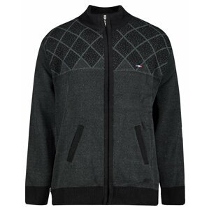 Men's sweater Aliatic Zip-Up