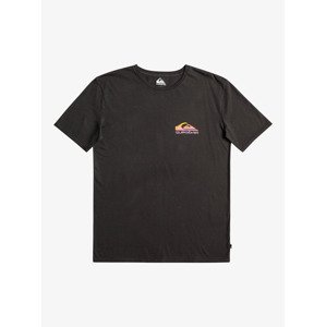 Men's T-shirt Quiksilver PASTIME PARADISE