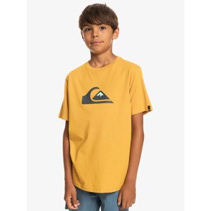 Children's t-shirt Quiksilver COMP LOGO