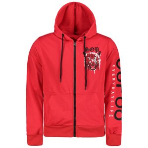 Men's hoodie Aliatic