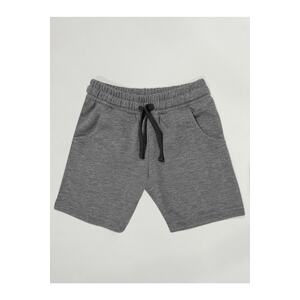 Denokids Basic Boys' Gray Shorts