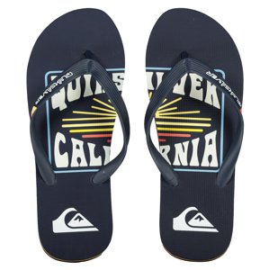 Men's flip-flops Quiksilver MOLOKAI ART SL