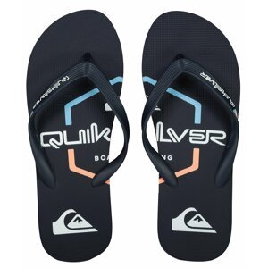 Men's flip-flops Quiksilver MOLOKAI ART SL