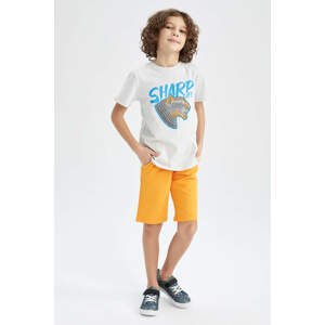 DEFACTO Regular Fit Short