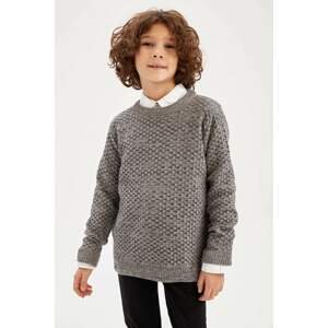 DEFACTO Boy Regular Fit Crew Neck Sweater