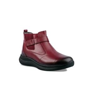 Forelli Ankle Boots - Burgundy - Flat