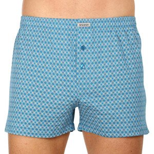 Men's shorts Andrie blue