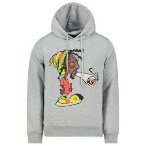 Men's hooded sweatshirt Aliatic