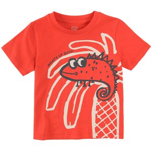 COOL CLUB Kids's T-Shirt CCB2412418