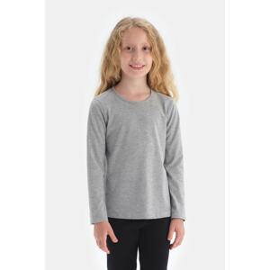 Dagi Gray Crew Neck Long Sleeved T-Shirt