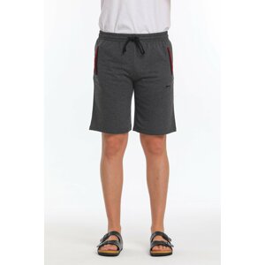 Slazenger Import I Men's Shorts K.gray