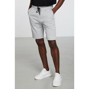 GRIMELANGE Camillo Straight Regular Light Gray Shorts & Bermuda