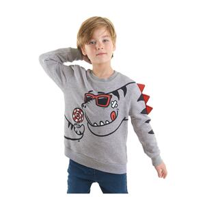 Denokids Candy Store Dinosaur Boys Gray Sweatshirt