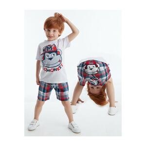 Denokids Monkey Plaid Men's Shorts Set