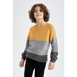 DEFACTO Boy Regular Fit Crew Neck Sweater