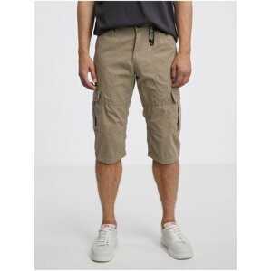 Beige Men's Shorts with Pockets Tom Tailor - Men