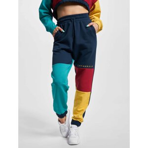 Dangerous sweatpants DNGRS 4C multicolored