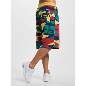 Dangerous DNGRS Shorts HideMe camo