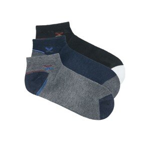 Edoti Men's socks