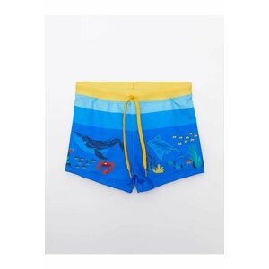 LC Waikiki Swimsuit - Blue - Color block