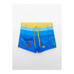 LC Waikiki Swimsuit - Blue - Color block