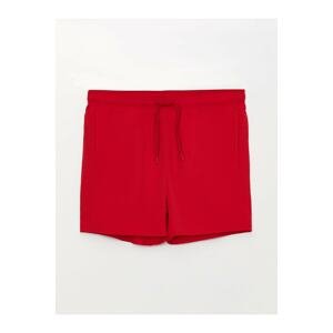 LC Waikiki Men's Basic Shorts Shorts