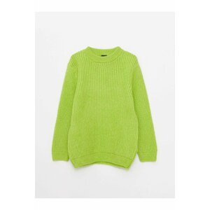 LC Waikiki Sweater - Green - Regular fit