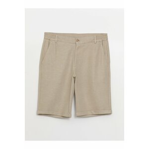 LC Waikiki Men's Standard Fit Bermuda Shorts