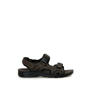 Polaris Sandals - Brown - Flat