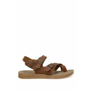 Polaris Sandals - Brown - Flat